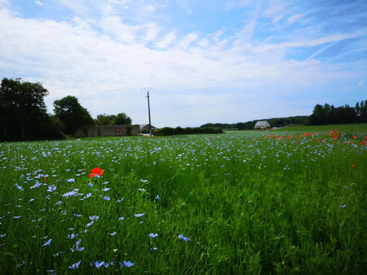 Les Chambres De Thiergeville Luaran gambar