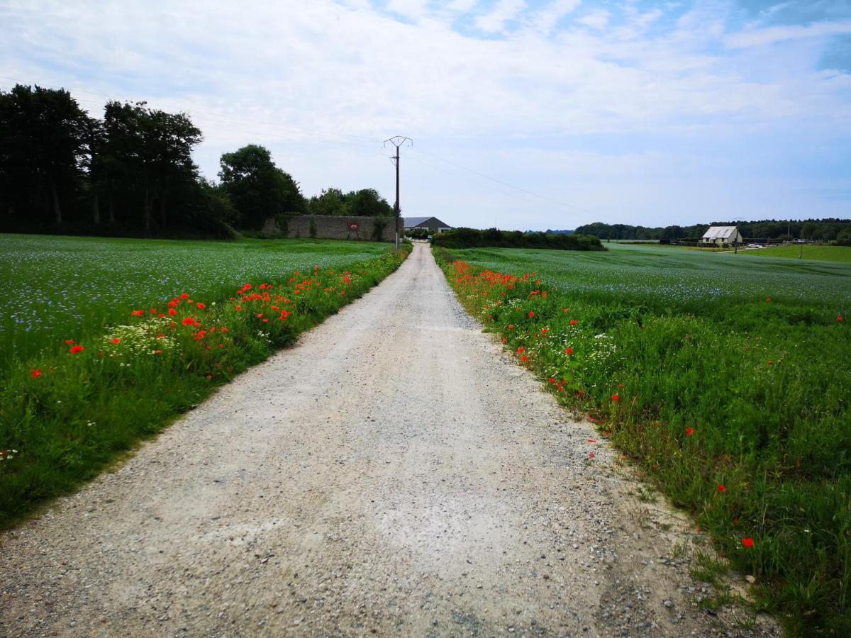 Les Chambres De Thiergeville Luaran gambar